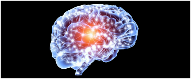 Neurofeedback Brain Map